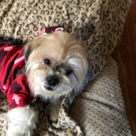 Meet your Posher, Fortress - Picture 1 of 1